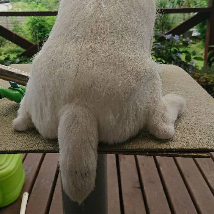 C80b1ef3 33c1 4f0c bbfa 5e02b82958f6 1562469754568