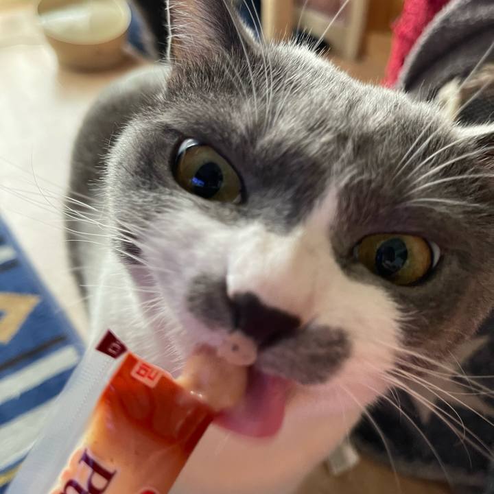 C80b1fe7 bbde 46b8 bae7 ffa352145306 1661756353755