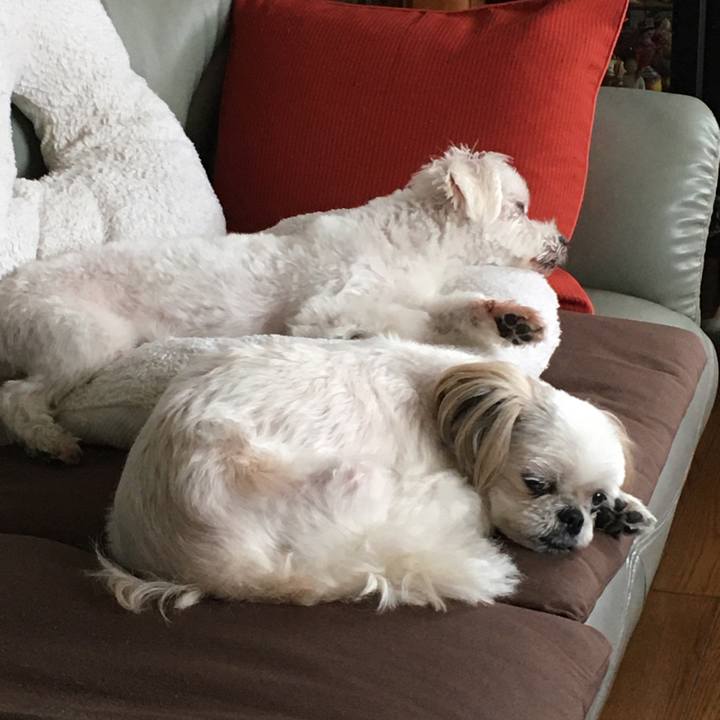 C80b3cf5 dac8 4b6a 81c8 868efe441b75 1601771250693