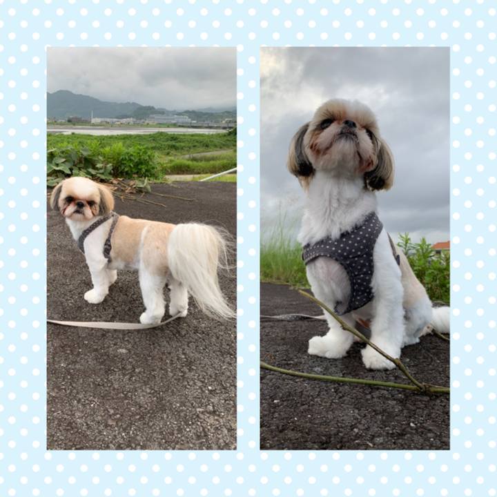 C80b9d3c 5db8 43ad 907f 51c6a99fb2fe 1595116272171