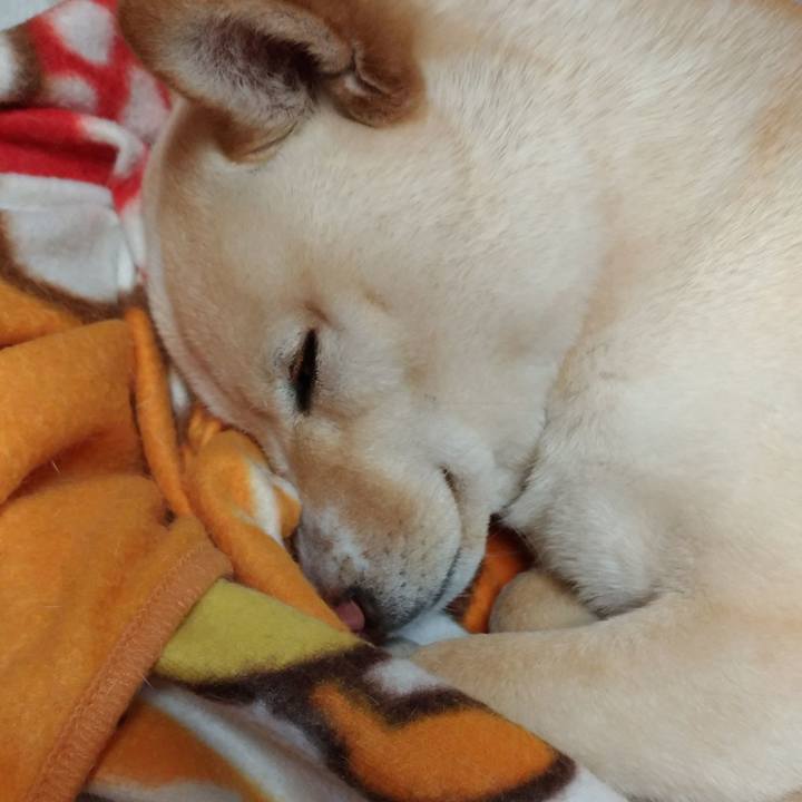 C80b9eec 2abf 485a ba75 0fb6b4f6a3d5 1521291236942