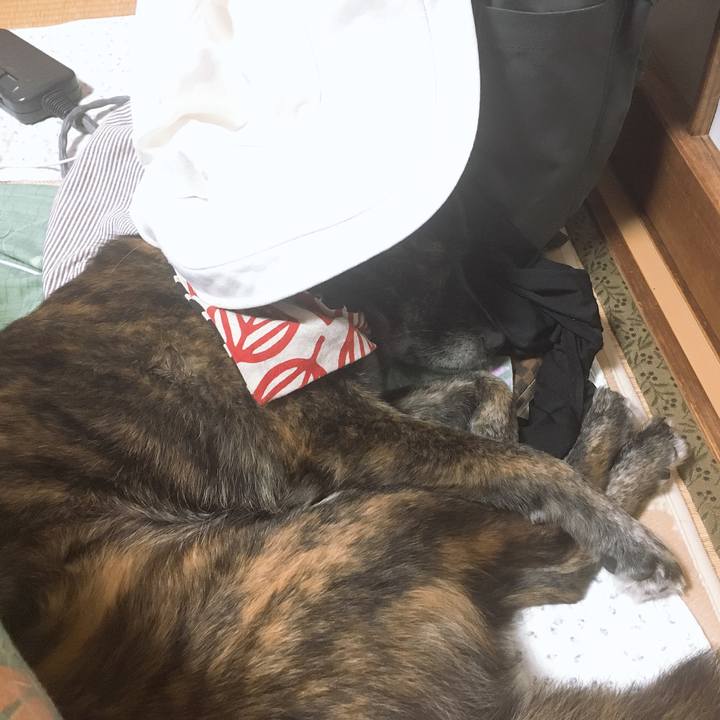 C80bbeee 22f8 41fe b13c 9b3cea66e280 1555687345314