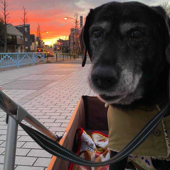 C80bc38f 5a0d 4f41 9bcf bd9ad3dfb7c7 1704970972736