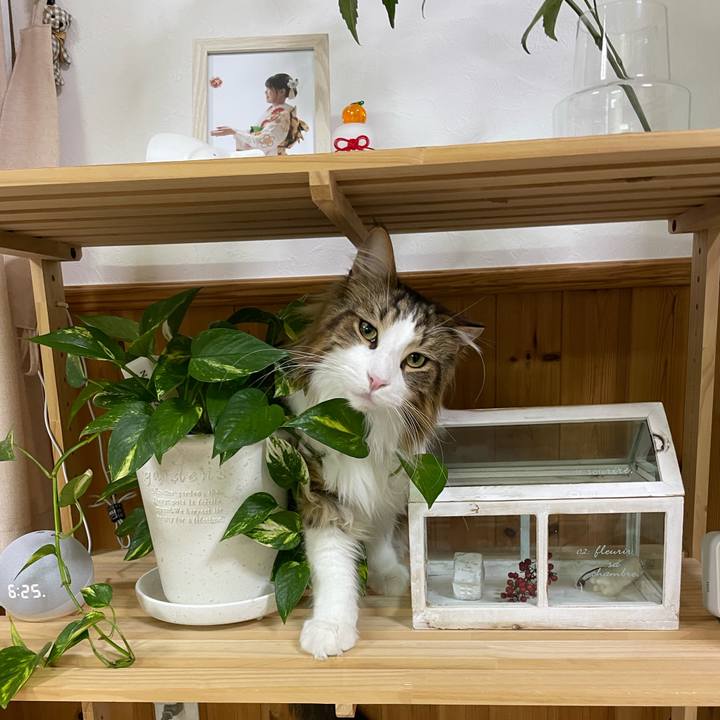 C80bcb4c 0172 424b 8784 aefdd5e9ed7b 1673040768022