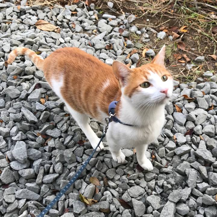 C80bd72a 2aba 43d5 8052 358c81d6373b 1513753999768