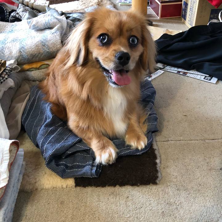 C80bdac1 37fd 4218 8055 ca923975abbe 1530398502483