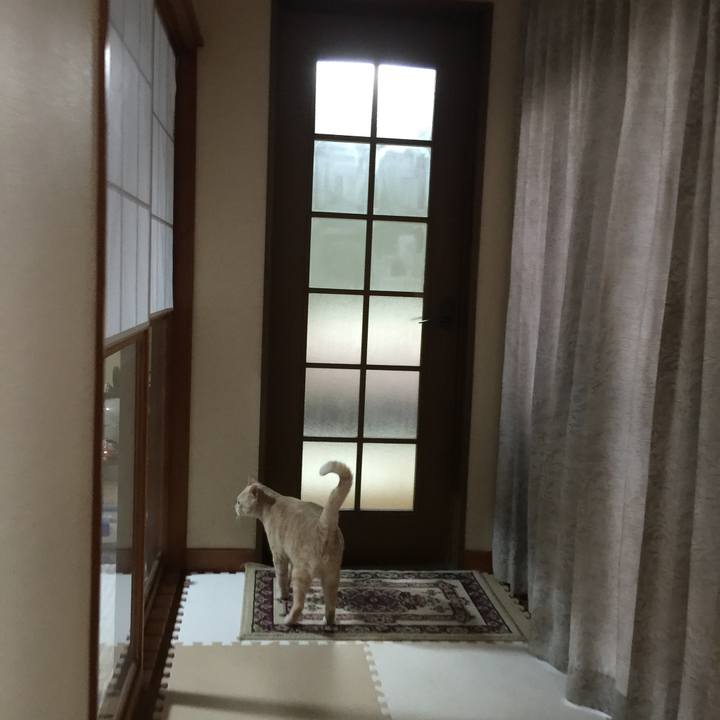 C80be573 5093 4e86 a95e 082bce58ca28 1532423503687