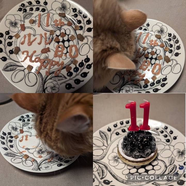 C80bf662 8e6c 47a0 a9bb c39ccb2ec9d9 1768112443549