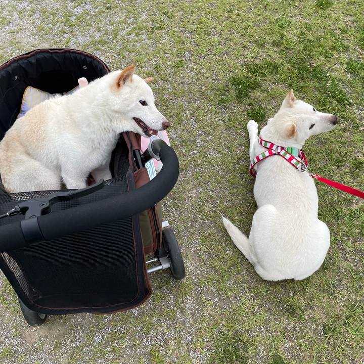 C80bf811 cd2f 41de b2b2 b577328c4909 1654877940872