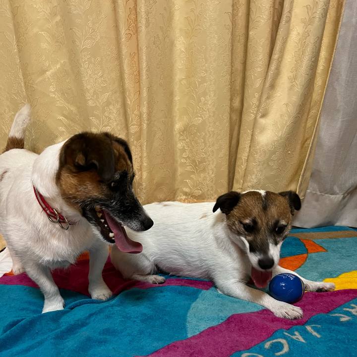 C80bfc0d 1a8f 45cd 982c d64c78790ec5 1663157719176