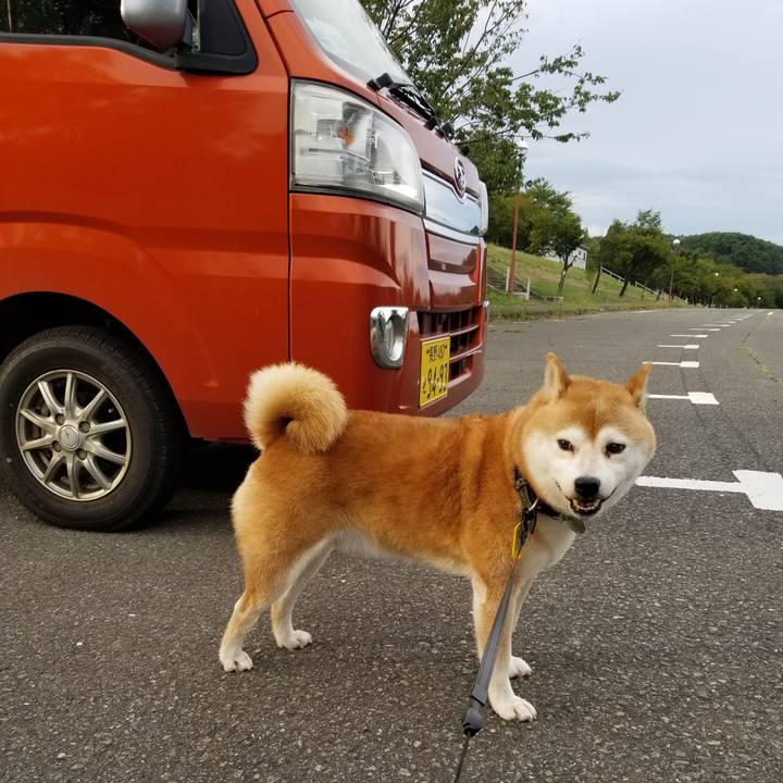 C80c0e05 6f1f 4558 945f 8d84f8413502 1600332556041