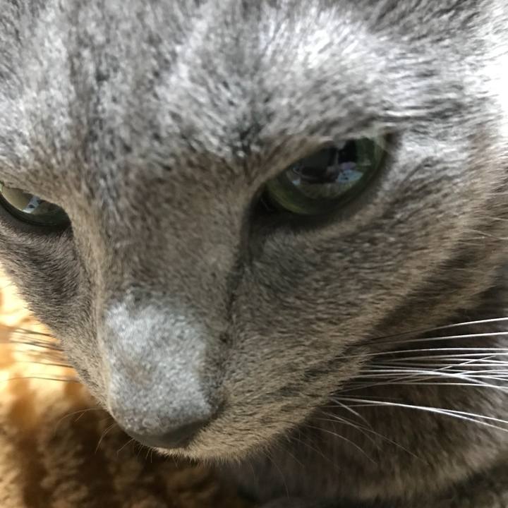 C80c29bd 12e0 426b 9908 4381eb79d717 1515794925667