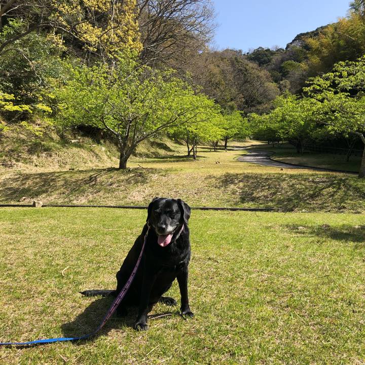 C80c46fc 5823 4d1c 8626 40ccbb3f8265 1584759692565