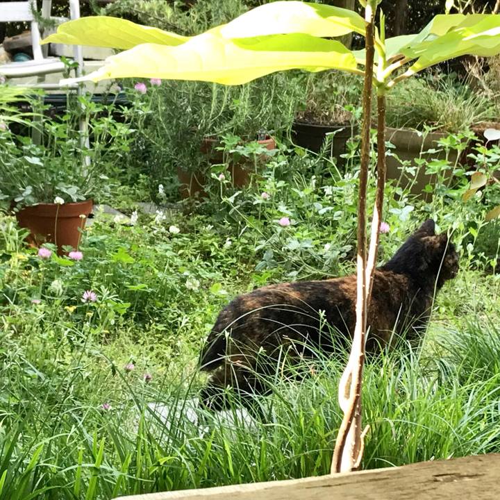 C80cb0f0 369b 41ea b131 dd98b2ec8fc7 1556879304523