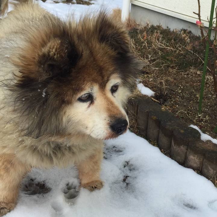 C80d16de 3e4e 4431 ad46 48b7e3015b2d 1604020573538