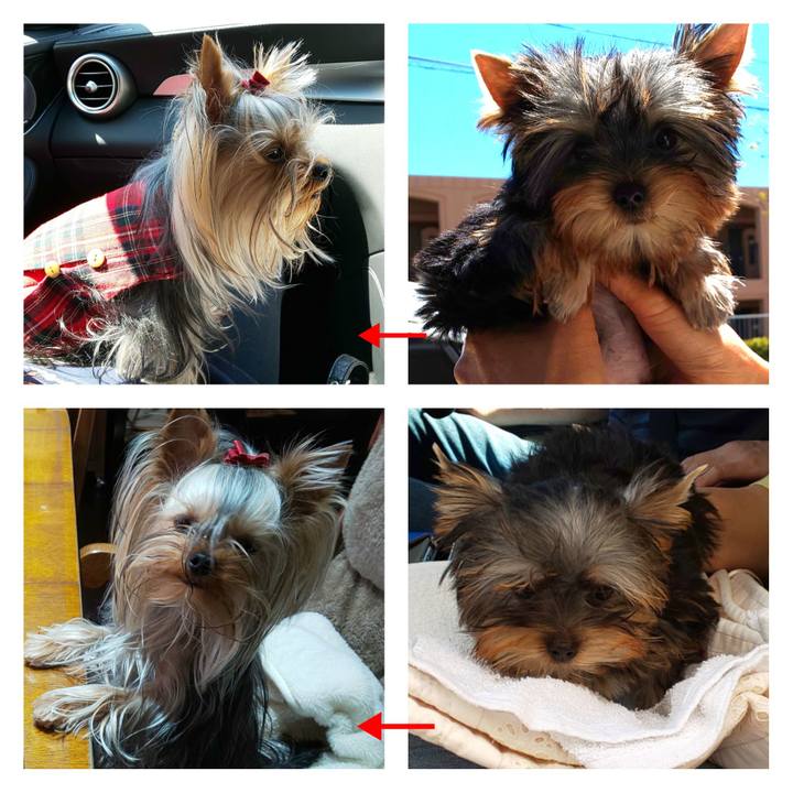 C80d51f8 6baf 47bf 8f5c f284eed38c36 1620376644869