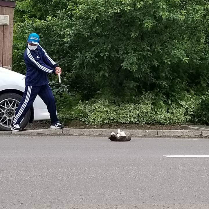 C80d71aa 7627 424b b2e9 61cb20c44bf4 1595772076849