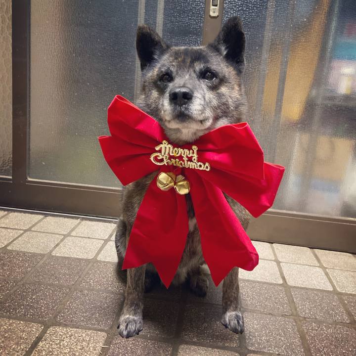 C80d7f85 a8c5 4bc5 a2d8 07b494087be6 1608807903883