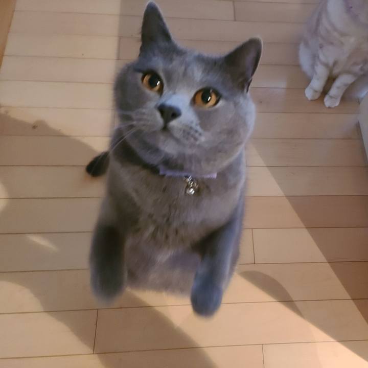 C80d80ad ec73 47f7 884a bd3419552a0e 1615454366971