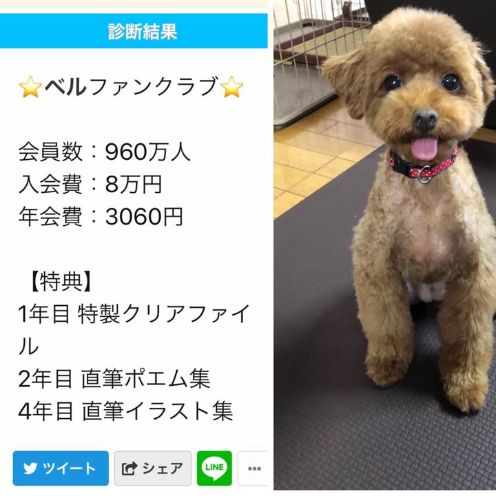 C80dcf17 127a 488c 8b69 54692b9edef7 1568523251293