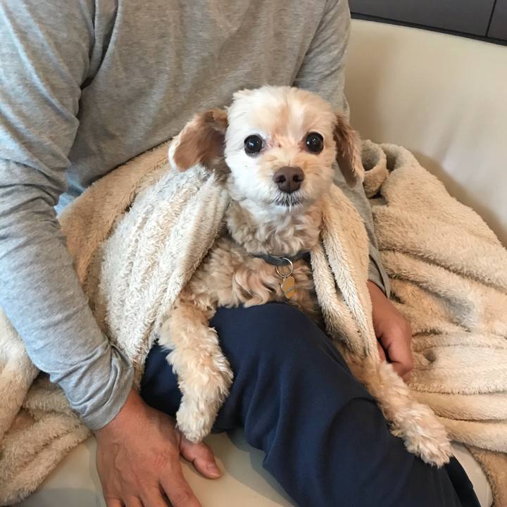 C80dd5a6 baf8 4cc3 a41f 876abb32cc71 1571709332437