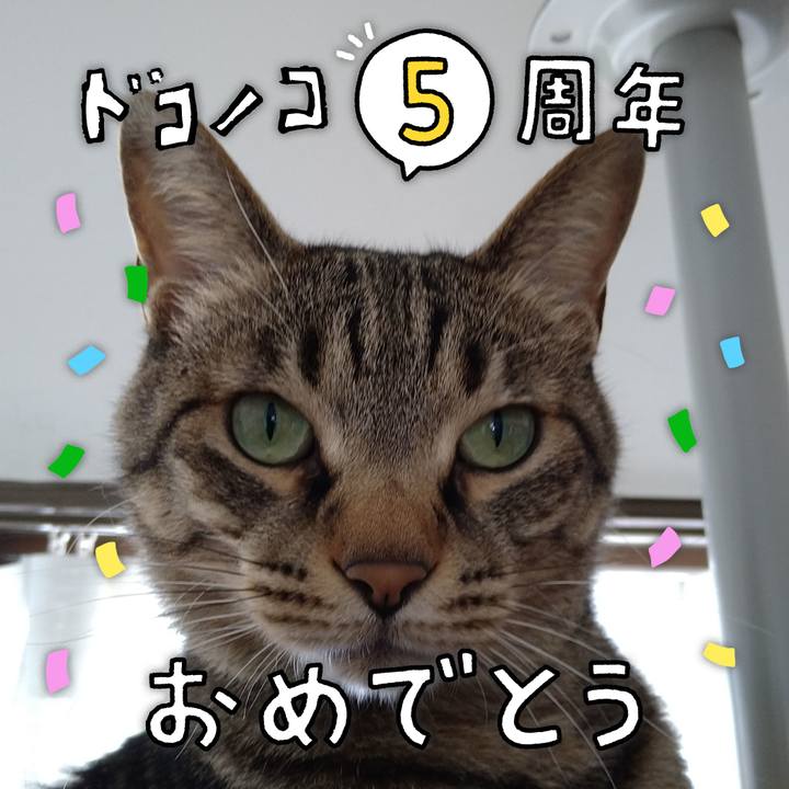 C80dd61f 00e1 4095 876e 80c284de1d13 1622861013728