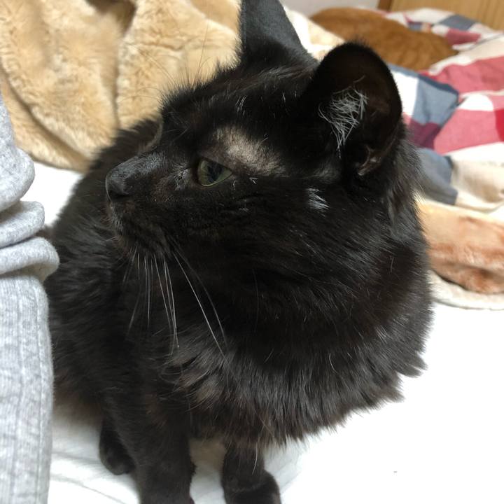 C80de5ee 0acb 479e 81cc 2d1693e56efb 1583153713987