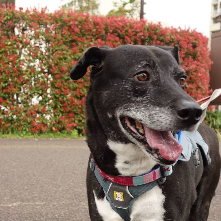 C80deafa 4c1f 474d 8985 77f6436dc12d 1744936087904