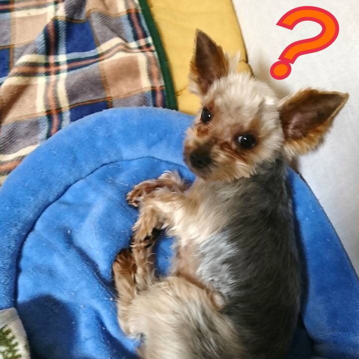 C80df470 92da 4a4b a1fd 1ae62e2ebd18 1520657595736