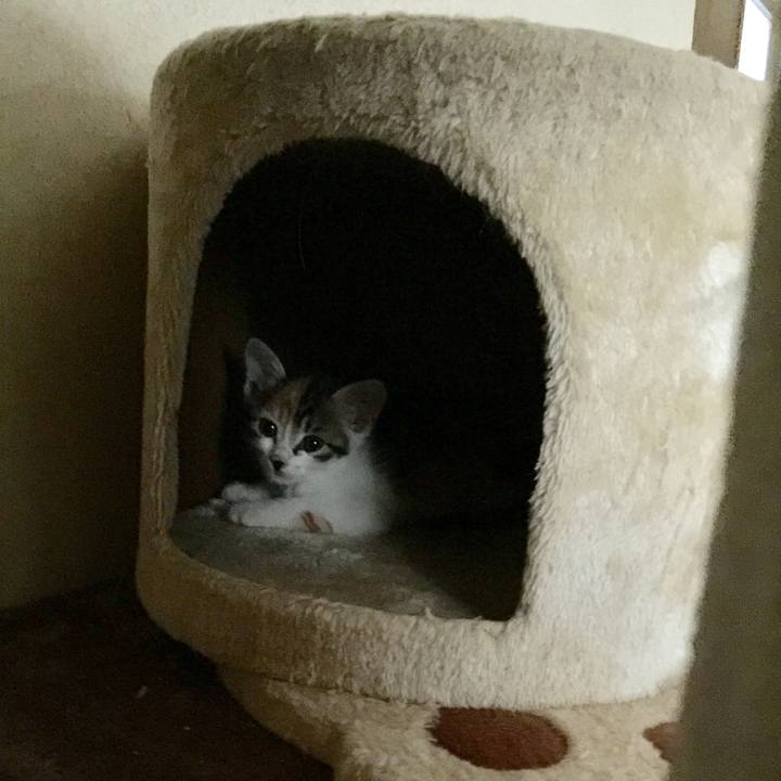 C80df6fe 6ae9 4595 be41 673afc2d24c2 1628562024741