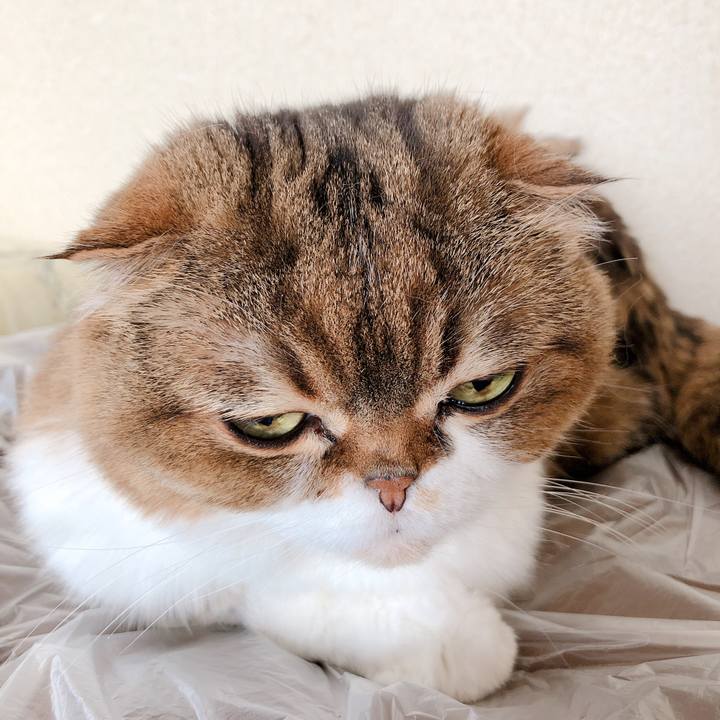 C80e353f 4136 45da 94ea 4a101a5ed504 1559372117438