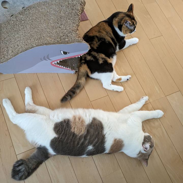 C80e8413 7565 4776 93ff ea75a4528145 1718965073427