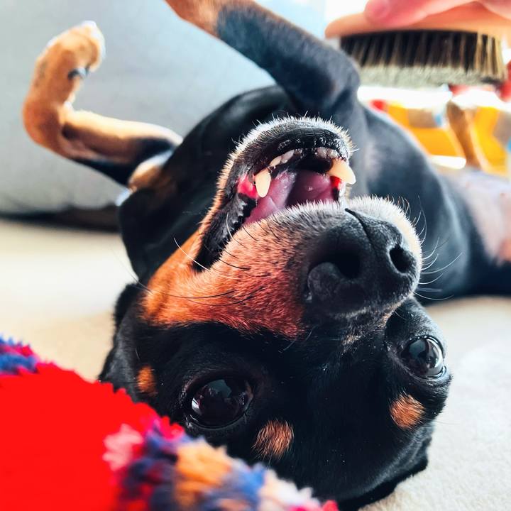 C80e84d7 31ec 4e4f 9a30 983c63b02d44 1737898579974