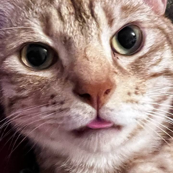 C80ea4ae 08d9 46bf bf0d dd5e7f97c6a8 1696425090851