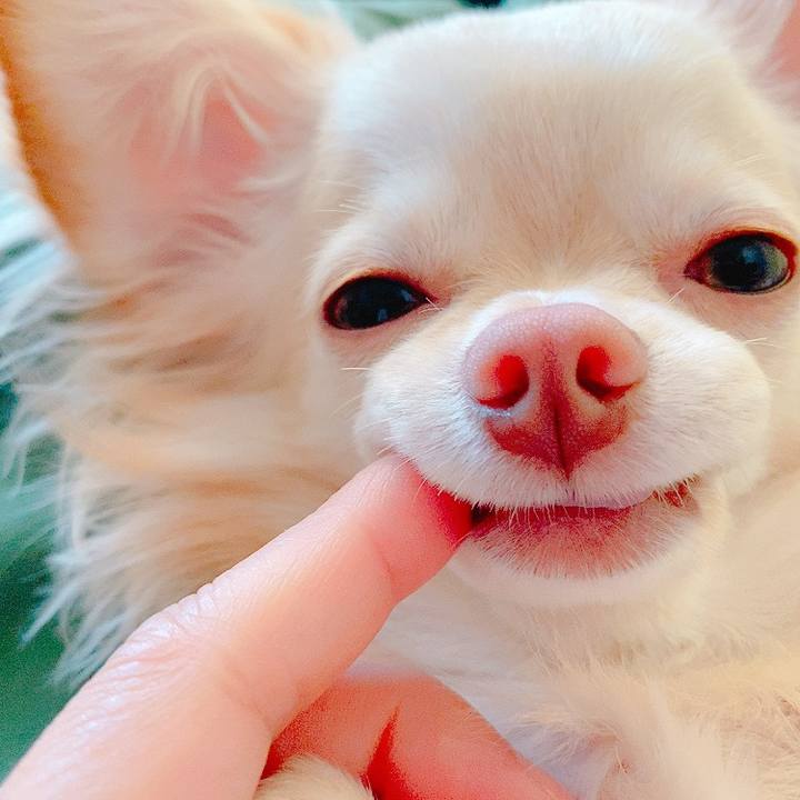 C80ef6a7 65d0 4cd6 ad35 c8a20e7f4cad 1623470166529