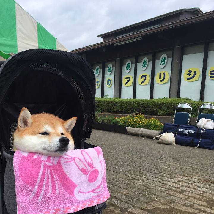 C80efbad ac70 4909 b182 7665a5df7f45 1567332795174