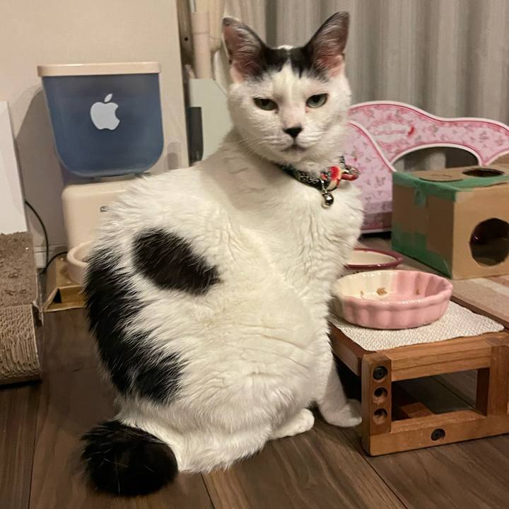 C80f0d81 bb5e 44db a38f a5a050361647 1726320706825