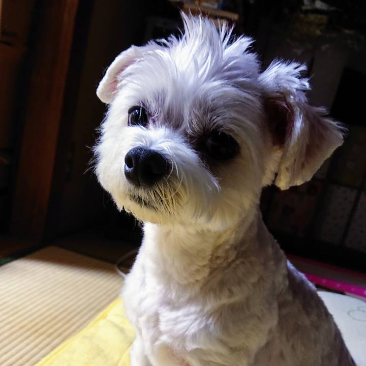 C80f248a eb66 4f63 9eb7 e0c61574e6f7 1538210651298