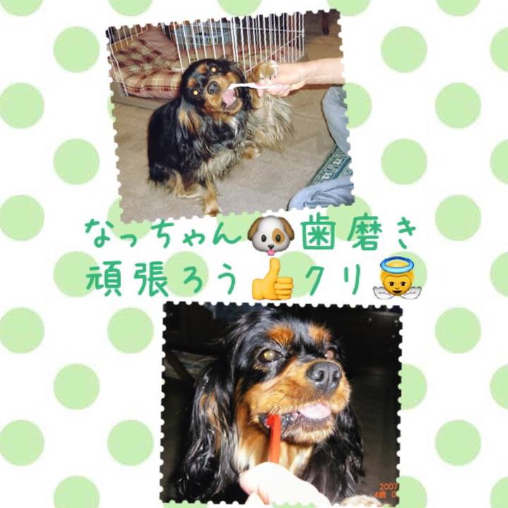 C80f4461 95e2 408b a512 19d6f2e3b77d 1515915301574