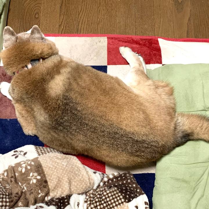 C80f53a7 9d3c 440c b66c f1f4959aa97a 1646696809530