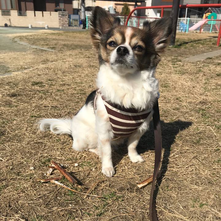 C80f622f 861b 4f7e 9e73 468e9d9f8ad8 1518664426122