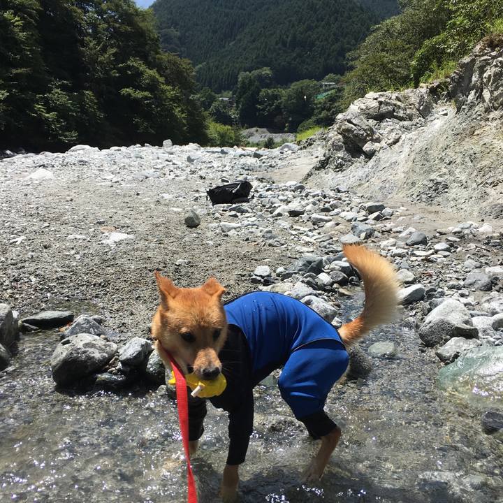 C80f763c 81aa 4d45 8a47 9bd72cb14999 1534579784793