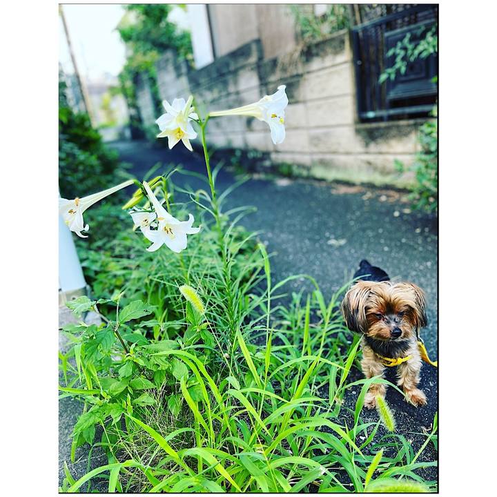 C80f985c 5a37 4476 80d8 b5dce1257730 1659907494445