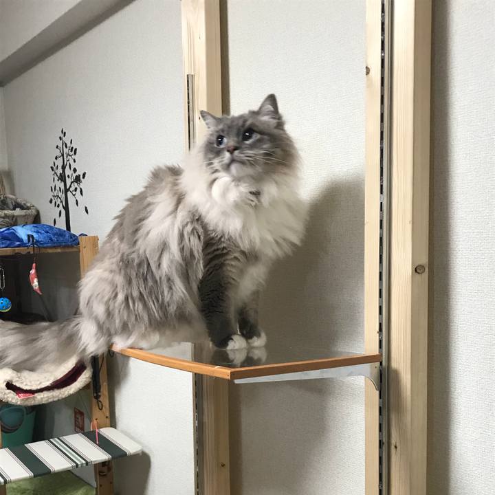 C80faa8f 2972 44df 8e48 bfd01dc84480 1521381104314