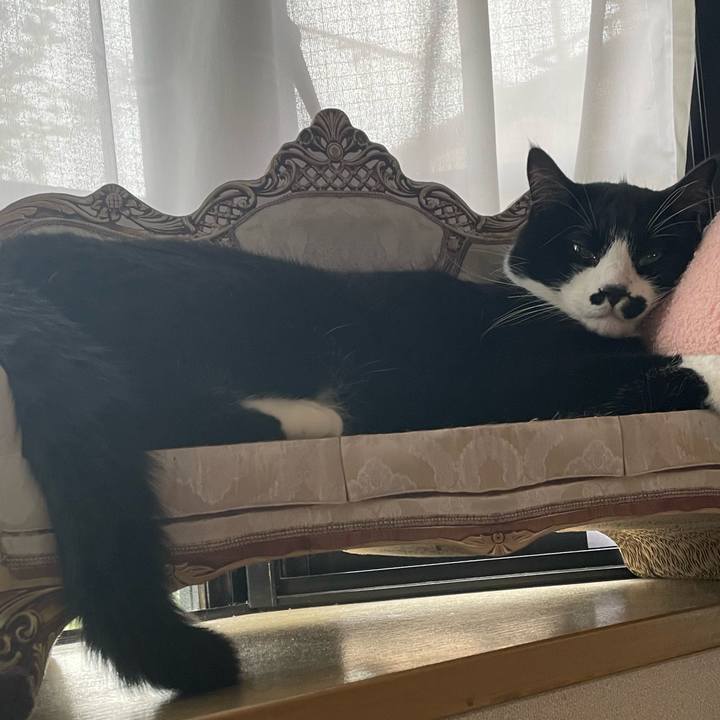 C80fbd80 b865 47a0 b7fb 6c60bd3d0709 1688770071229