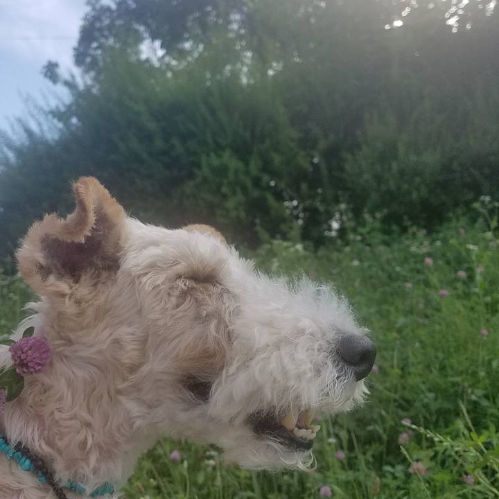 C8100003 ac70 4cdf 8527 9a0447385ea7 1592782274968