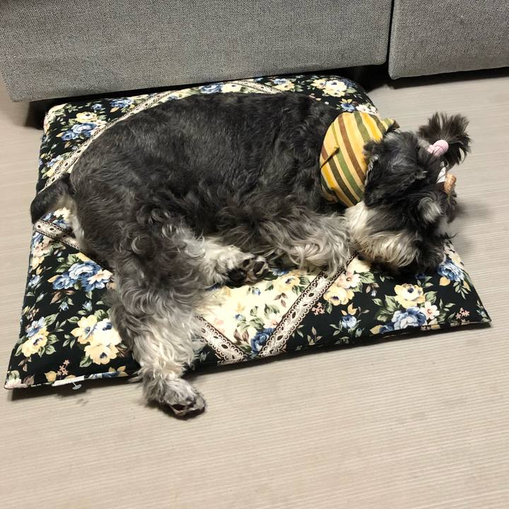 C81022cf 3e4f 4a3f a1b5 fd88fc316451 1627564432913