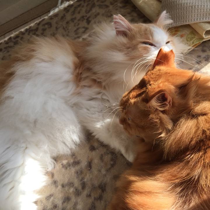 C8103826 bfd6 49c4 baa5 c15a75bb9c4f 1517348648432