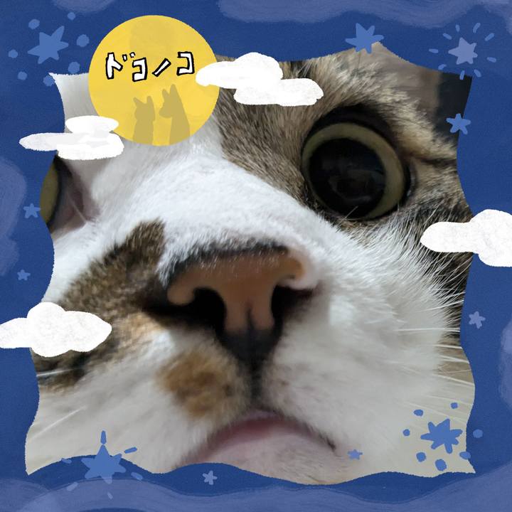 C81093cb 2f1f 49b4 8950 87adc3fa50b4 1726826190717