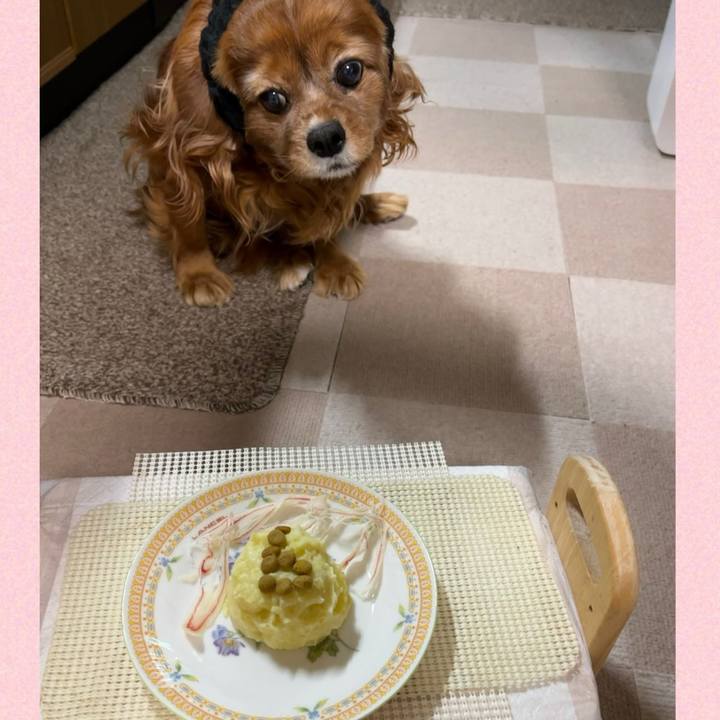 C81096fb afd1 4e6d b9ec 46fddcb2c4cc 1740054859427